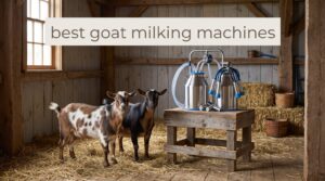 best goat milking machines