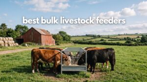 best bulk livestock feeders