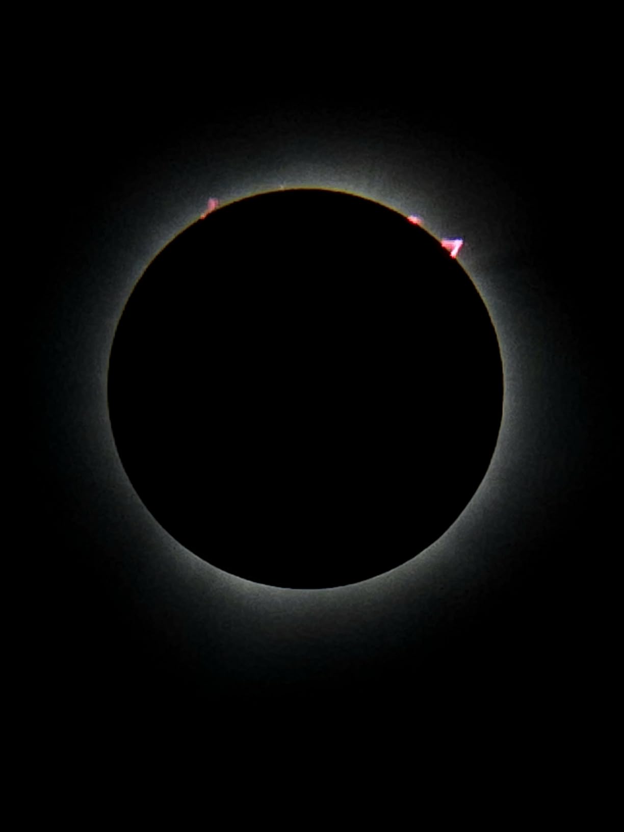 Celestron EclipSmart Telescope Solar Filter for 127mm & 130mm Reflectors customer photo 2