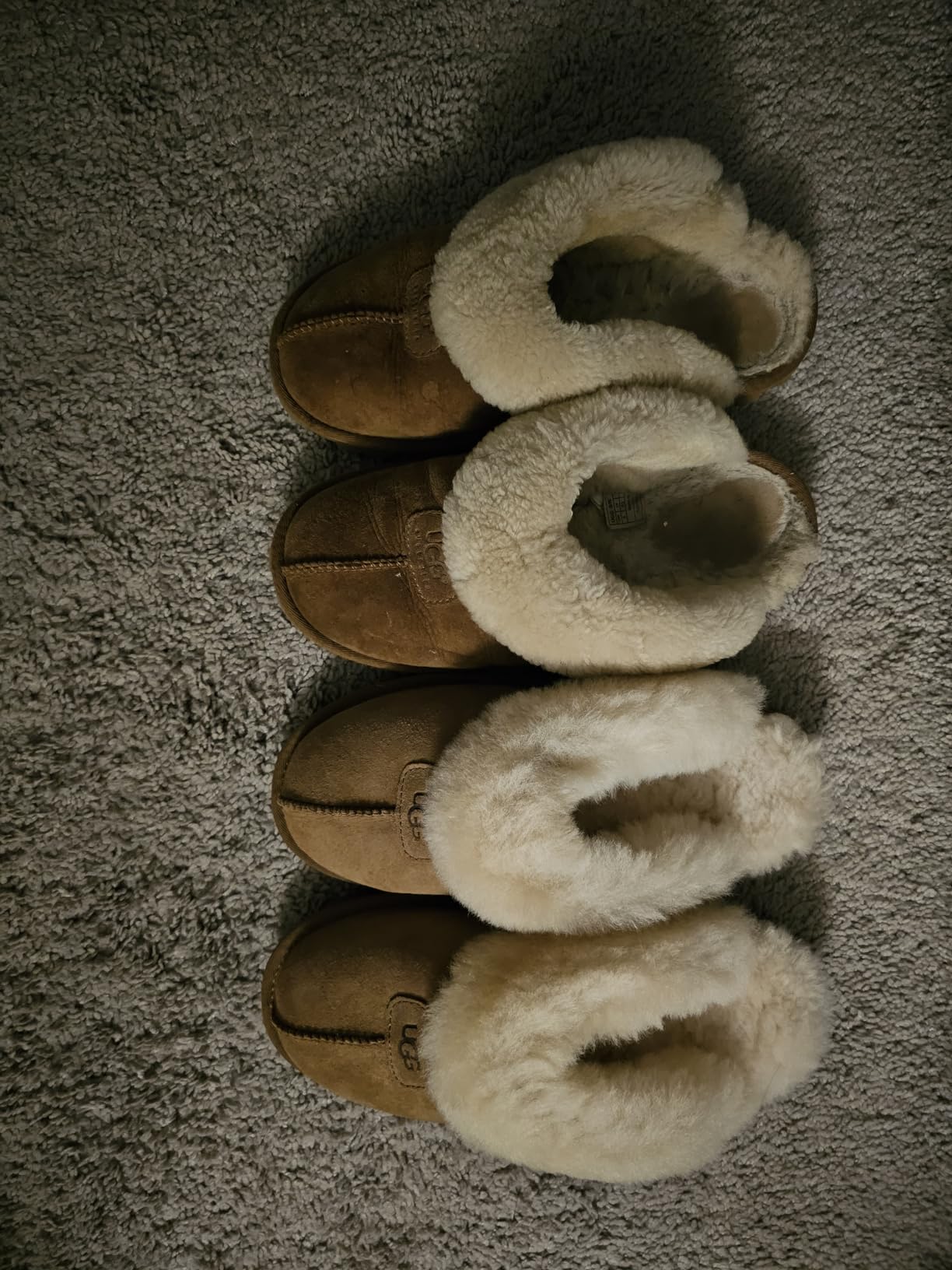 UGG Women's Coquette Slipper customer photo 1