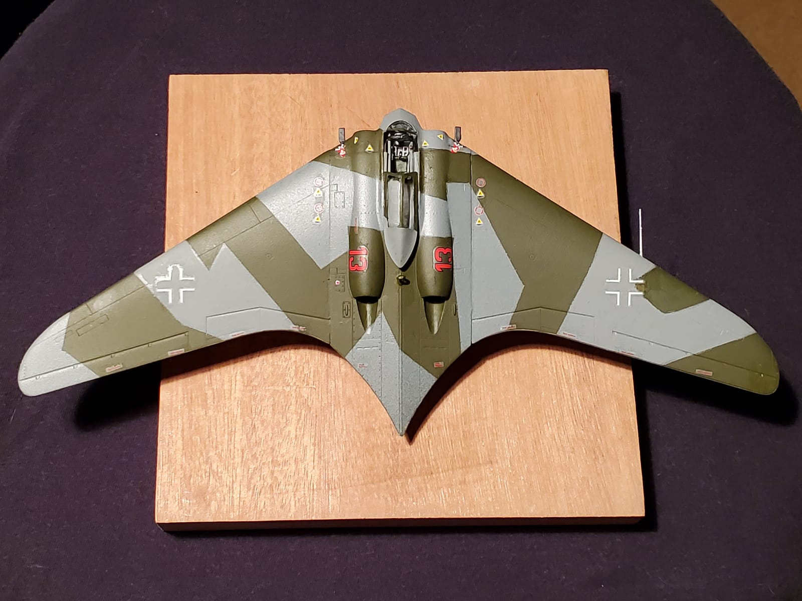 Revell 04312 Horten Go-229 customer photo 1