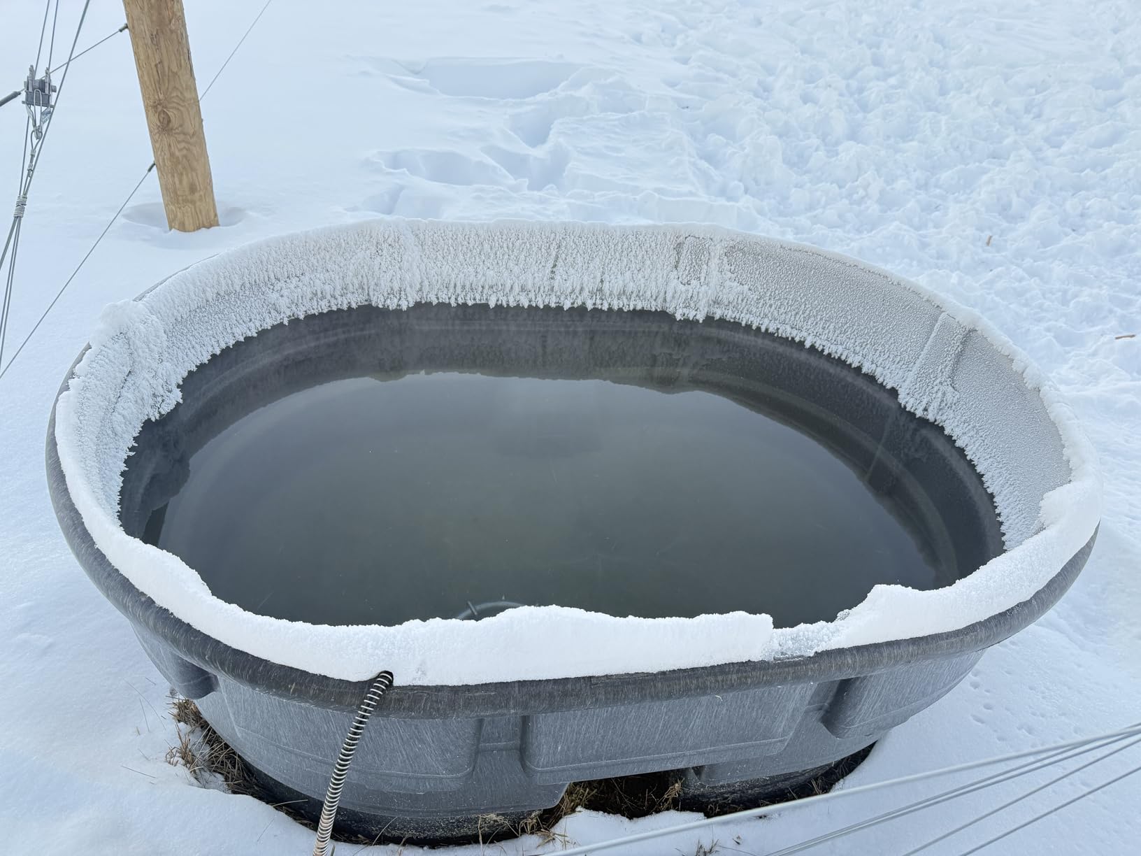 Farm Innovators Submergible Tank De-Icer, 1500W Water Deicer- Ice Chaser Cast Aluminum Design with Chew Proof Cord for Livestock Water Stock Tank customer photo 2