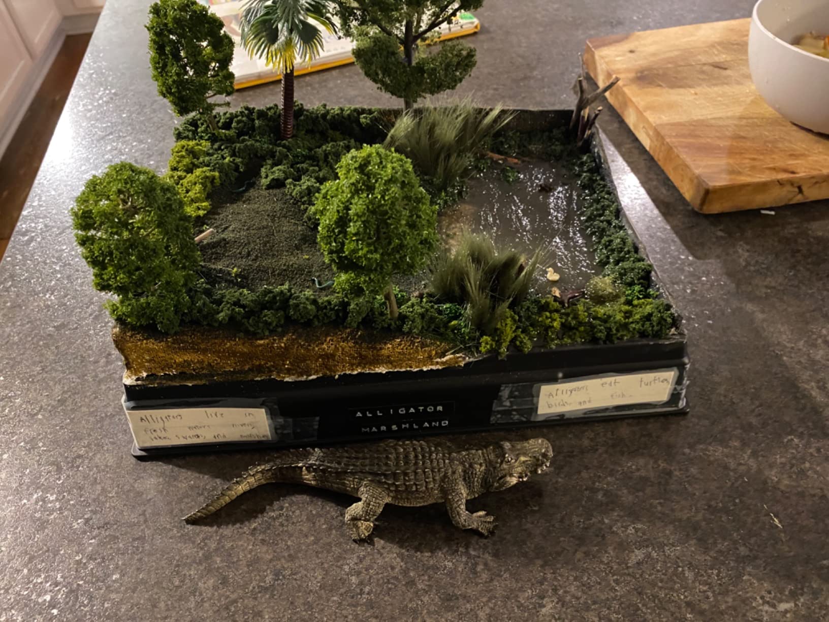 Scene-A-Rama Water Diorama Kit customer photo 1