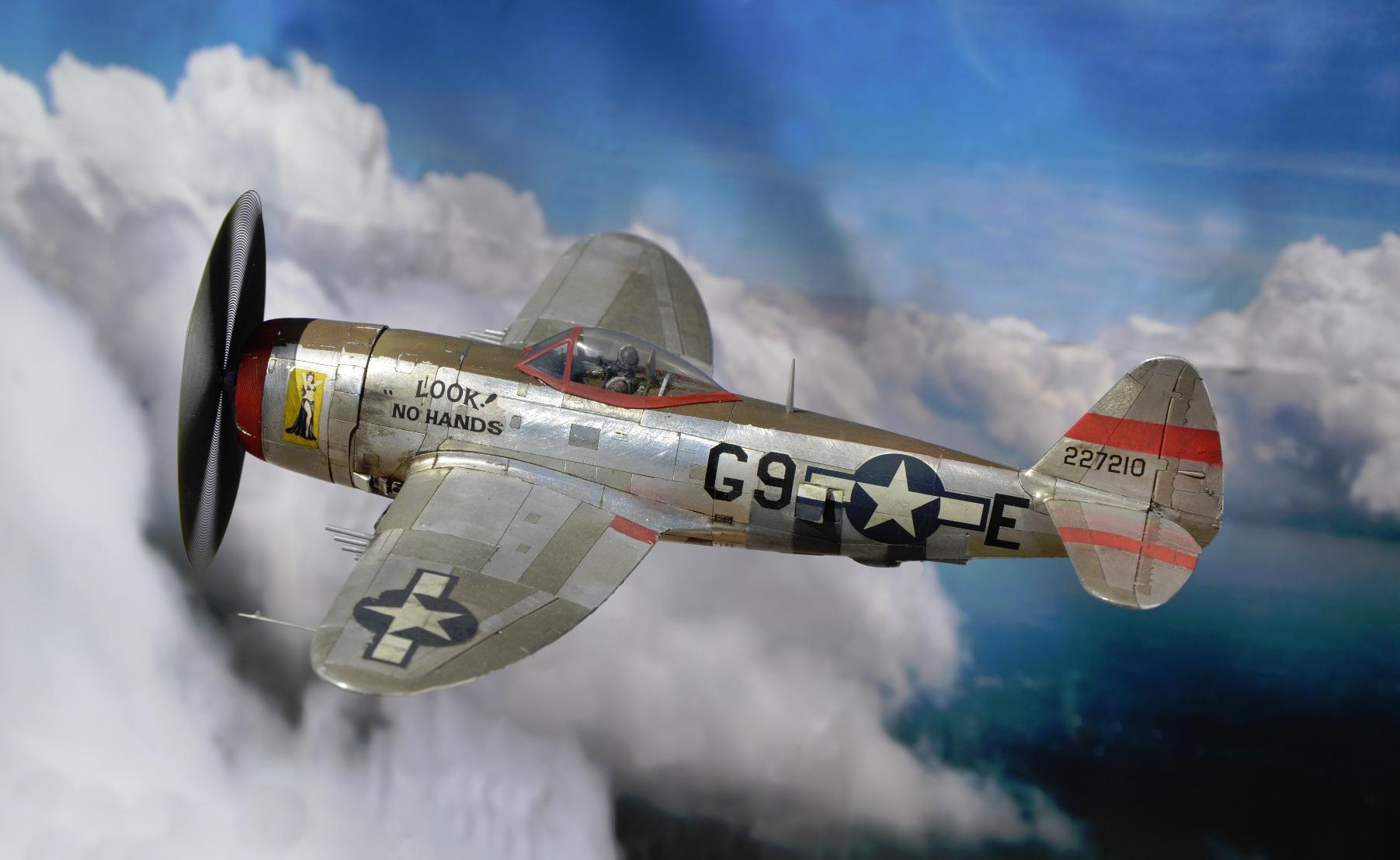 Hasegawa 1:48 Scale P-47D-25 Thunderbolt Model Kit customer photo 1