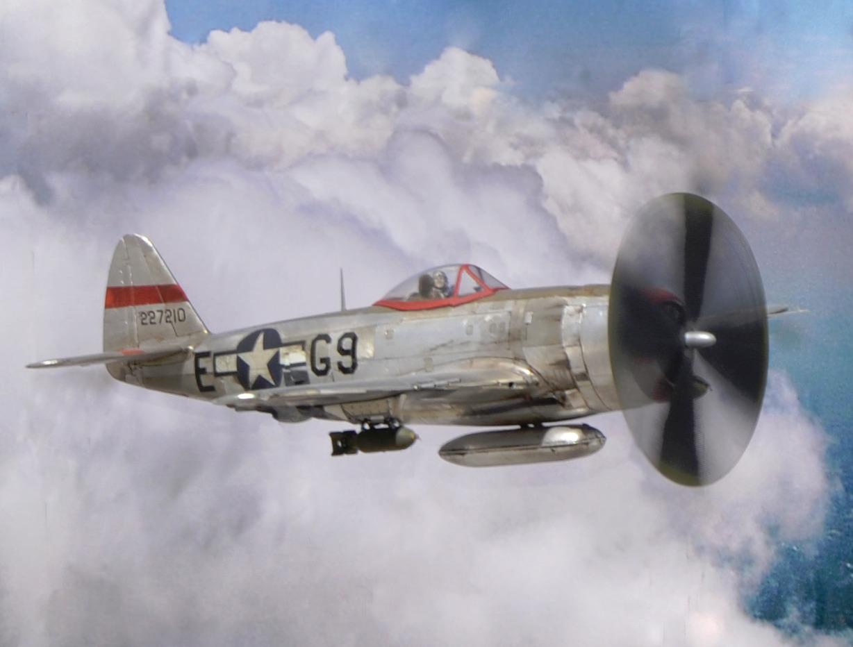 Hasegawa 1:48 Scale P-47D-25 Thunderbolt Model Kit customer photo 2