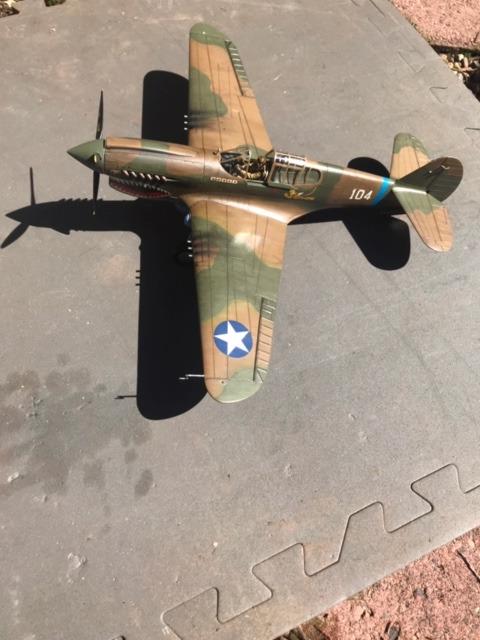 Hasegawa 1/32 P-40E Warhawk Texas Longhorn with Pilot Figure, Drop Tank and 500lb Bomb customer photo 2