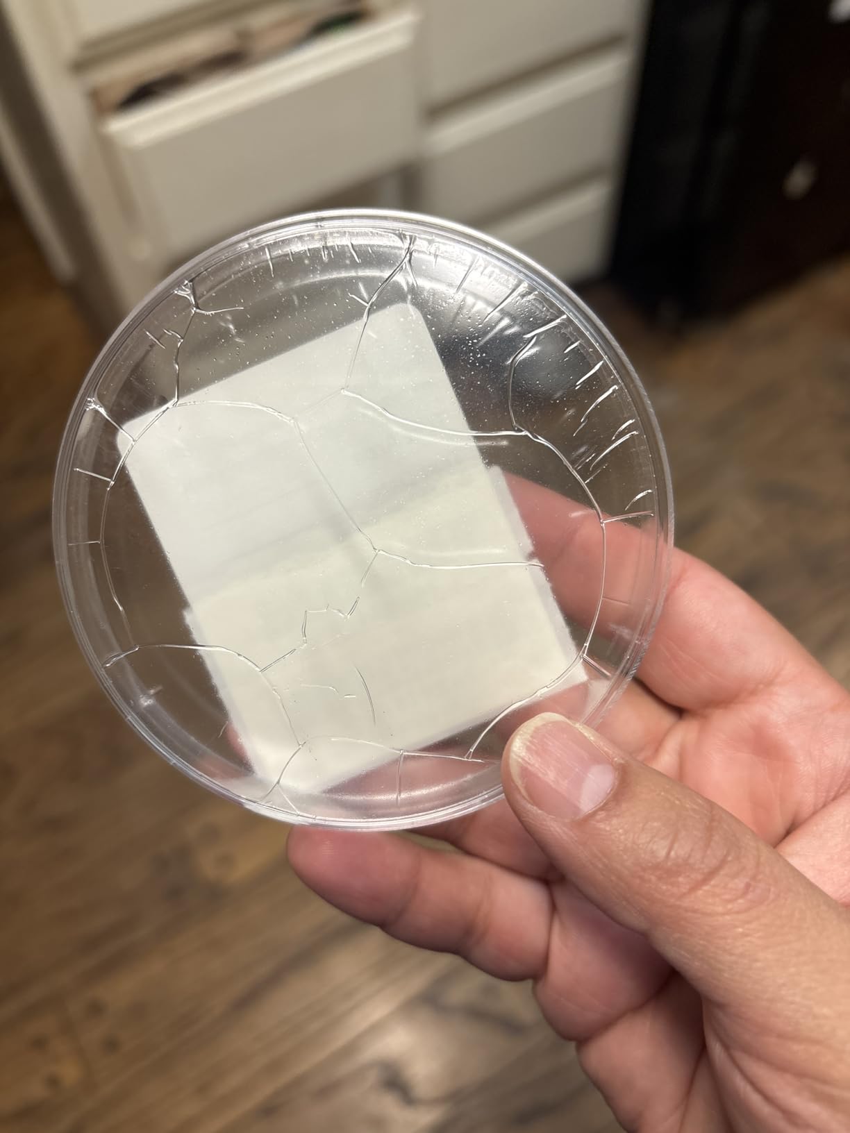 MOLD ARMOR Do It Yourself Mold Test Kit customer photo 1