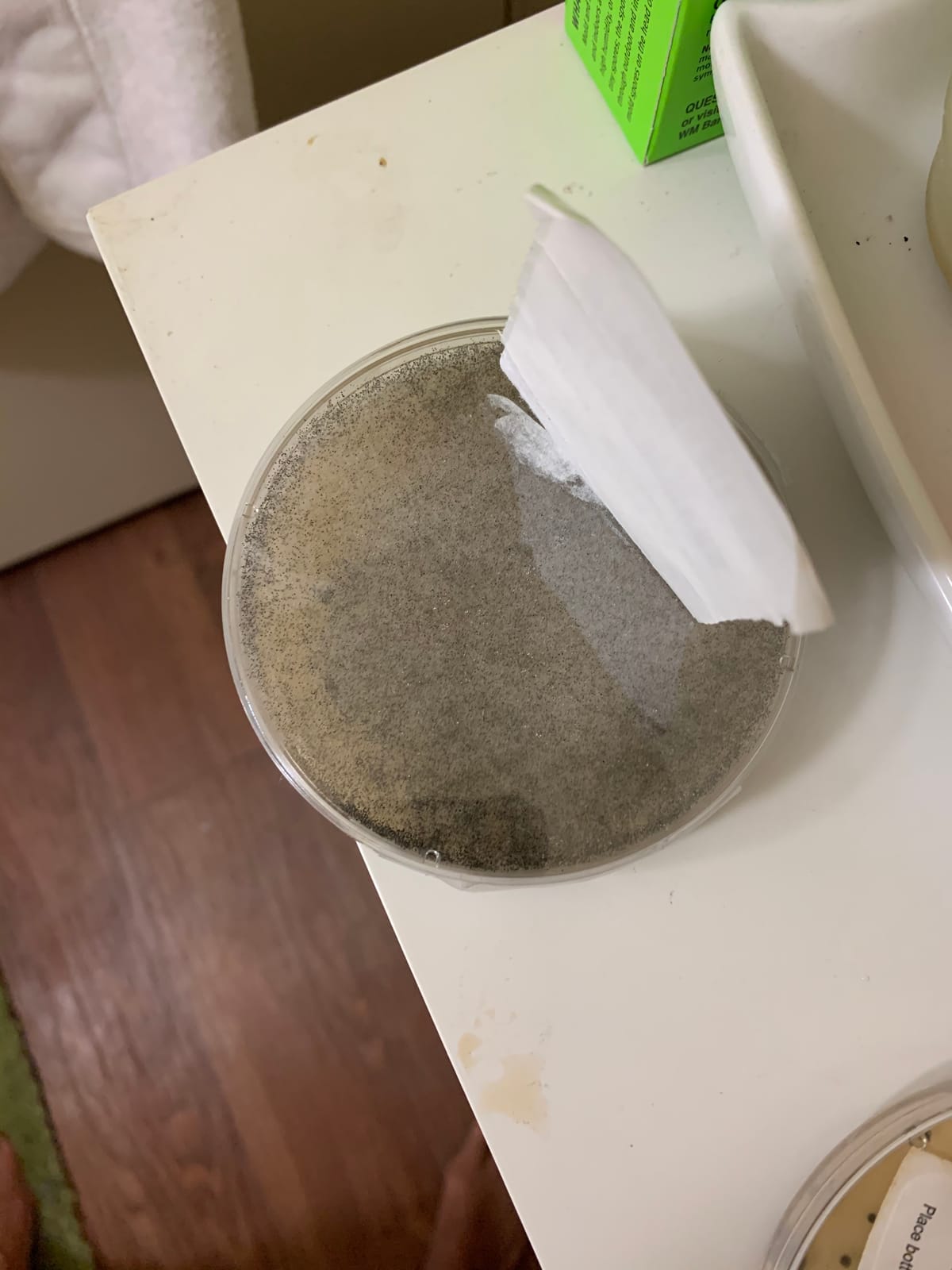 MOLD ARMOR Do It Yourself Mold Test Kit customer photo 2