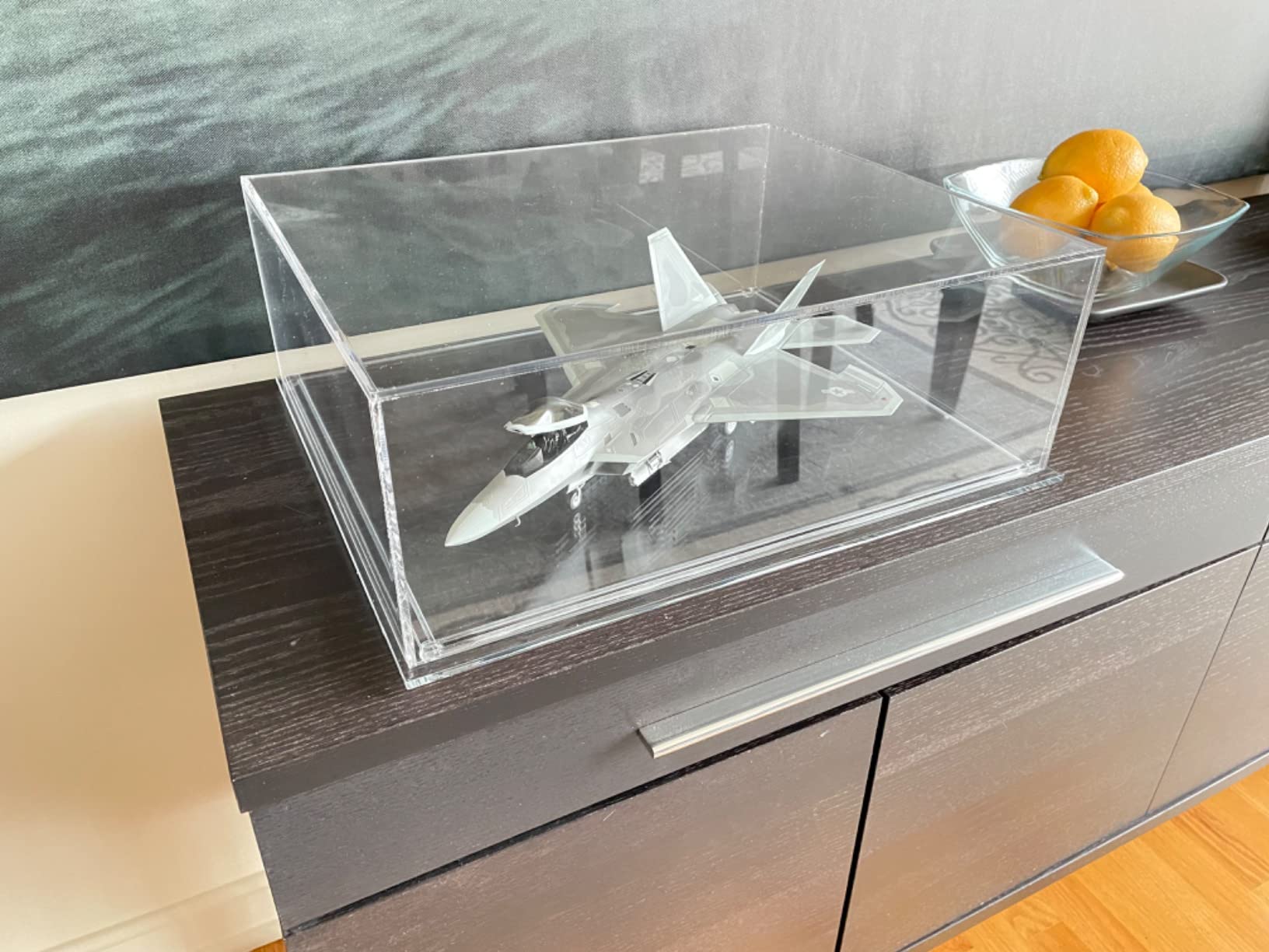 Hasegawa 1/48 F-22 Raptor USAF customer photo 1