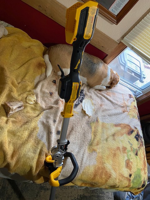 DEWALT Planer Blades, Heat Treated, Double Sided, 13-Inch, 2-Pack (DW7352-2) customer photo 2