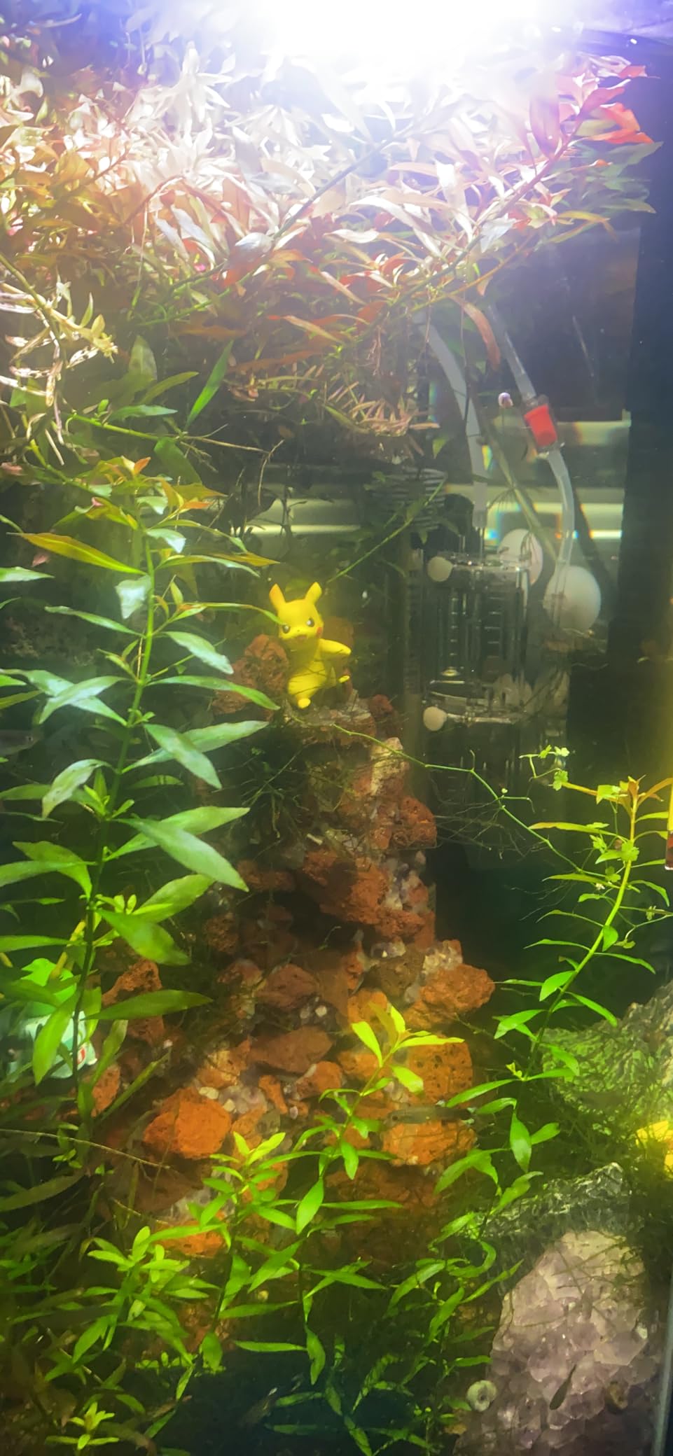 Hagen FL Mini Pressurized 20g CO2 Kit customer photo 1
