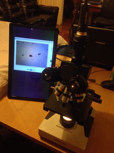 AmScope T490B Compound Trinocular Microscope, 2000X Magnification | 40X-2000X Magnification Range Compound Biological Microscope Mechanical Stage Built-In Condenser customer photo 2