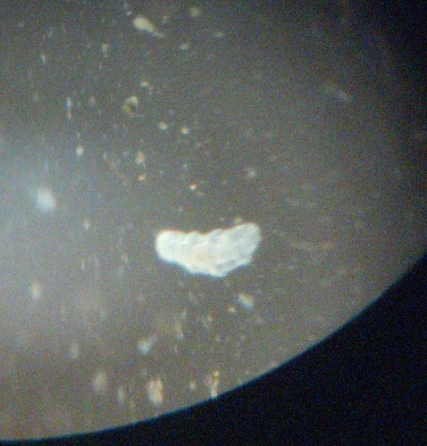 AmScope SE305R-PZ Forward Binocular Stereo Microscope, 10X-60X Magnification Range, WF10x and WF20x Eyepieces customer photo 2