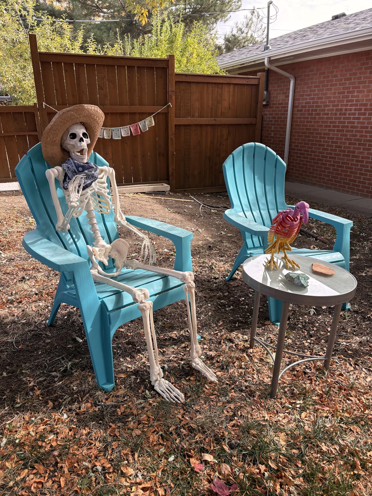 Crazy Bonez Original Pose-N-Stay Halloween Skeleton, 5 FT - Life-Size, Realistic, Fully Poseable Indoor & Outdoor Decoration, Durable Plastic Spooky Prop for Yard, Porch, Haunted House customer photo 1