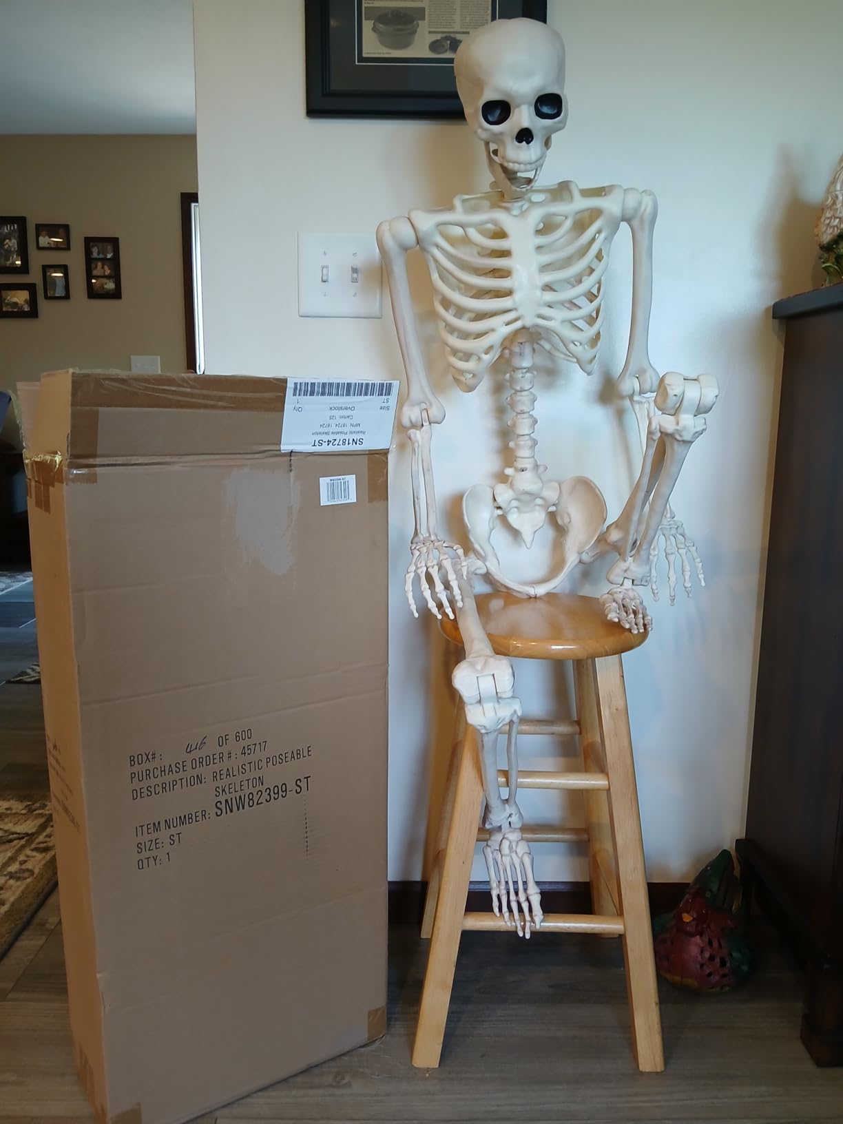 Crazy Bonez Original Pose-N-Stay Halloween Skeleton, 5 FT - Life-Size, Realistic, Fully Poseable Indoor & Outdoor Decoration, Durable Plastic Spooky Prop for Yard, Porch, Haunted House customer photo 2
