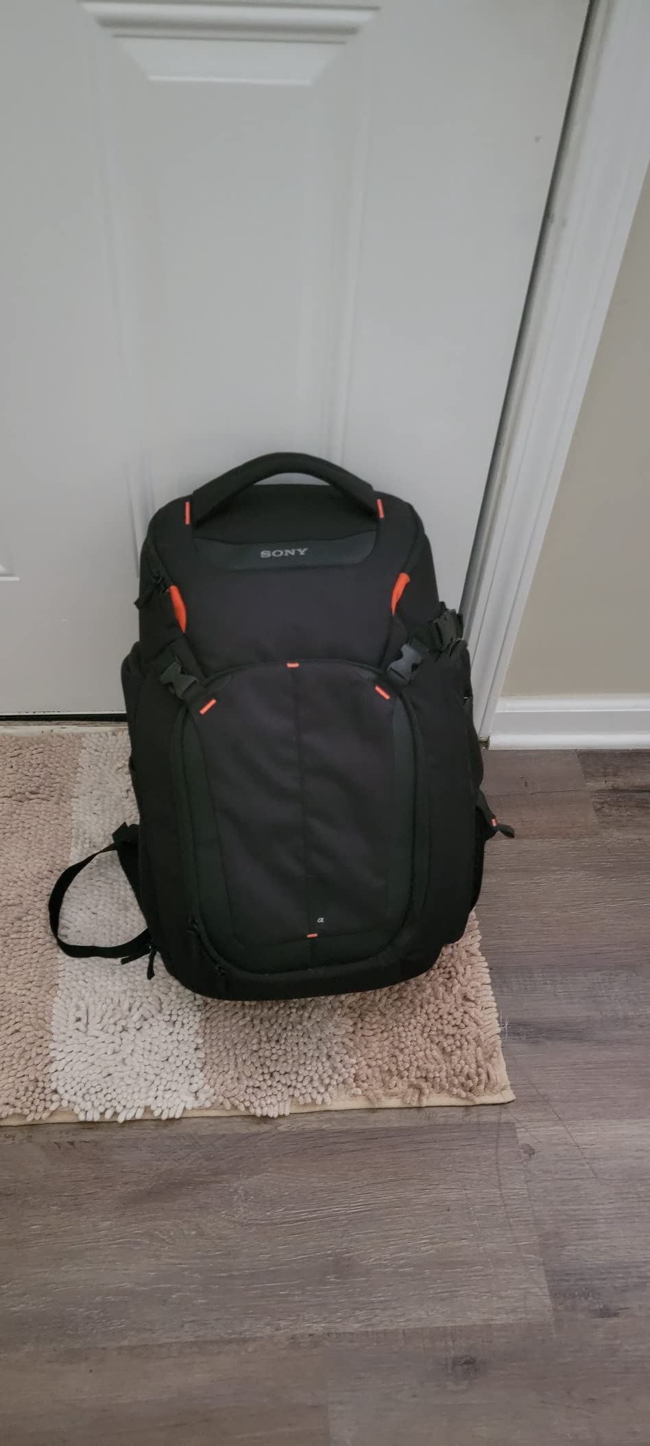 Sony LCSBP3 DSLR System Backpack with Laptop Storage, (Black), Large | Includes padded dividers, rain cover and shoulder straps for storage, protection and travel customer photo 2