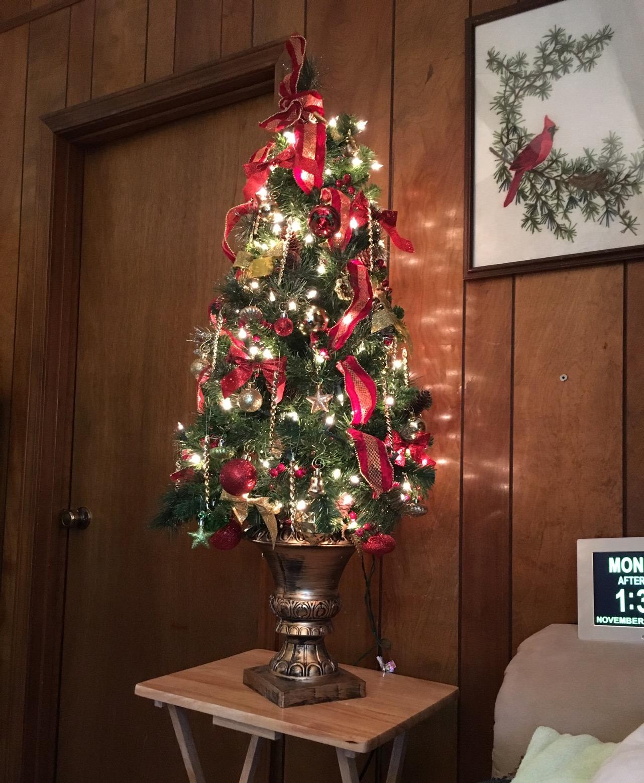National Tree Company Pre-Lit Artificial Entrance Christmas Tree, Green, Crestwood Spruce, 5 Feet | 150 Clear Lights, 296 Tips, Decorated with Frosted Branches, Pinecones, Berry Clusters, Includes Pot Base, Artificial, Green customer photo 1