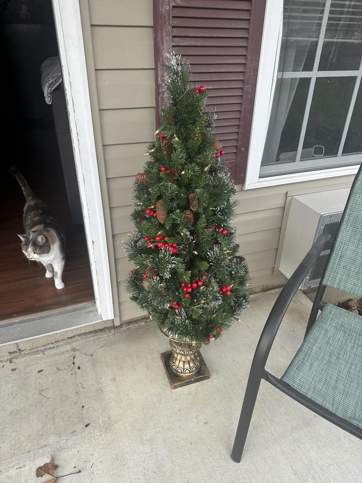 National Tree Company Pre-Lit Artificial Entrance Christmas Tree, Green, Crestwood Spruce, 5 Feet | 150 Clear Lights, 296 Tips, Decorated with Frosted Branches, Pinecones, Berry Clusters, Includes Pot Base, Artificial, Green customer photo 2