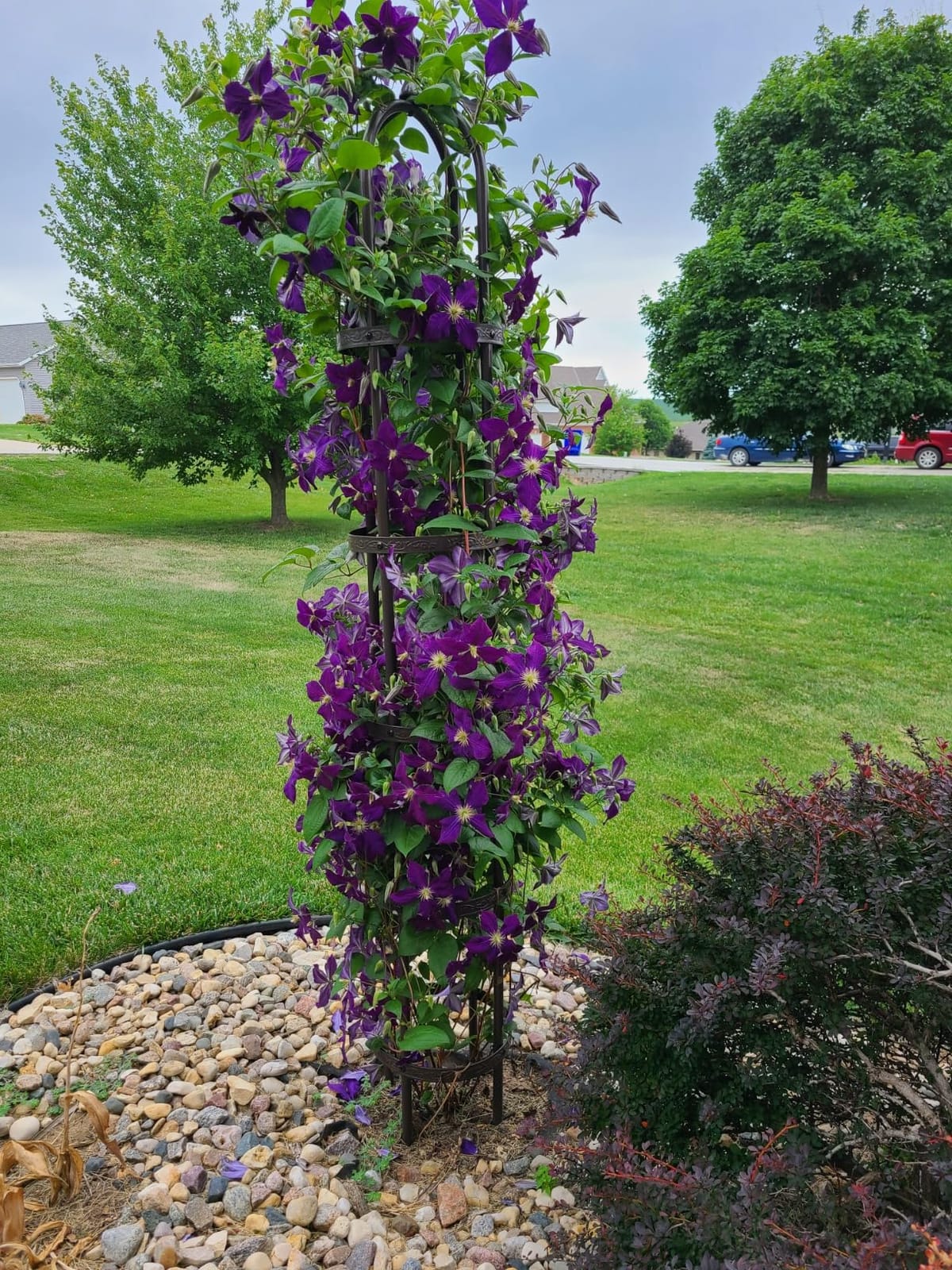 Plow & Hearth Metal Garden Obelisk | Indoor/Outdoor | Powder-Coated Steel | Trellis for Climbing | Floral Pattern | 11