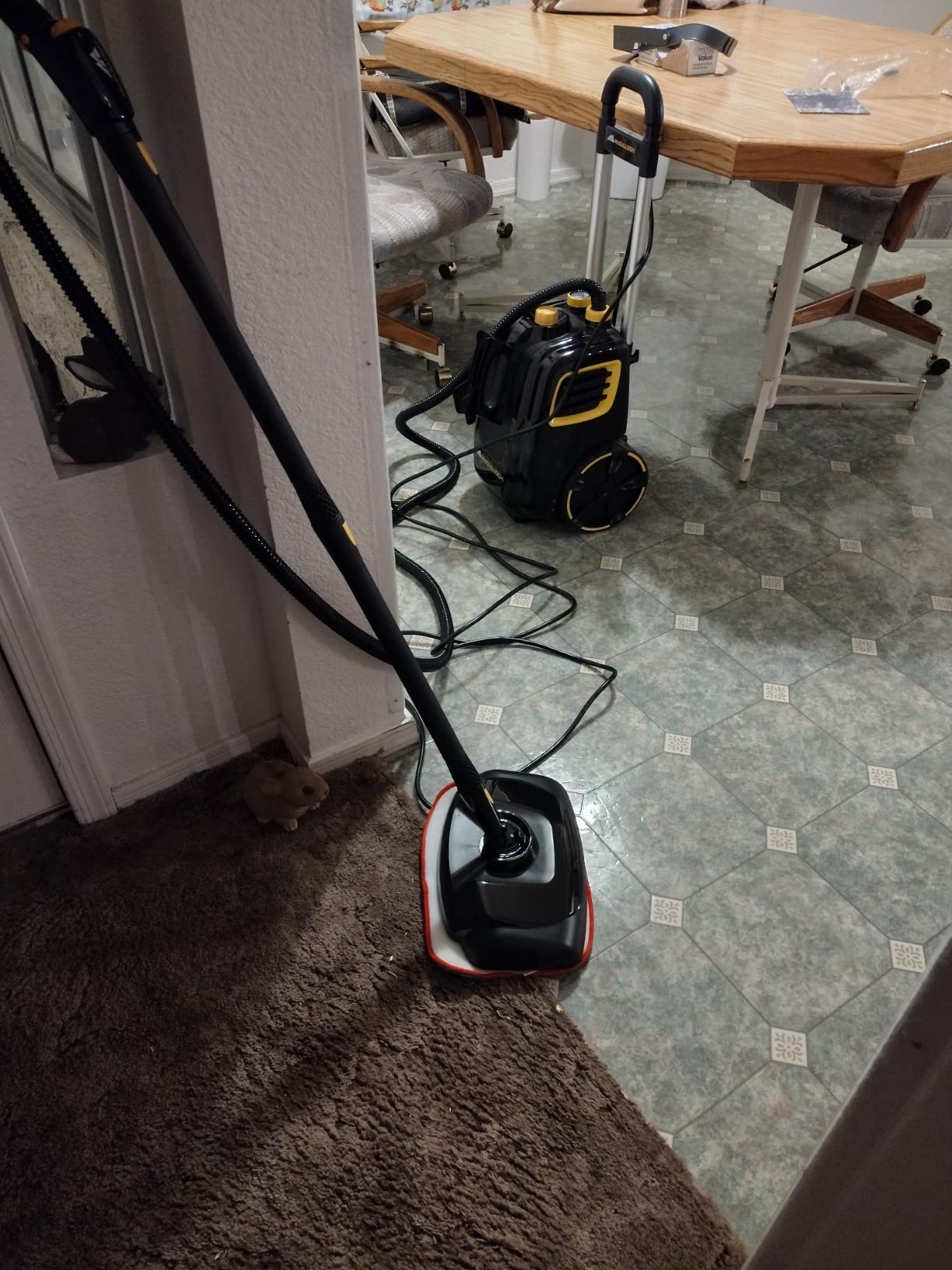 McCulloch MC1385 Canister Steam Cleaner, For Grout and Tile, 23 Accessories customer photo 2