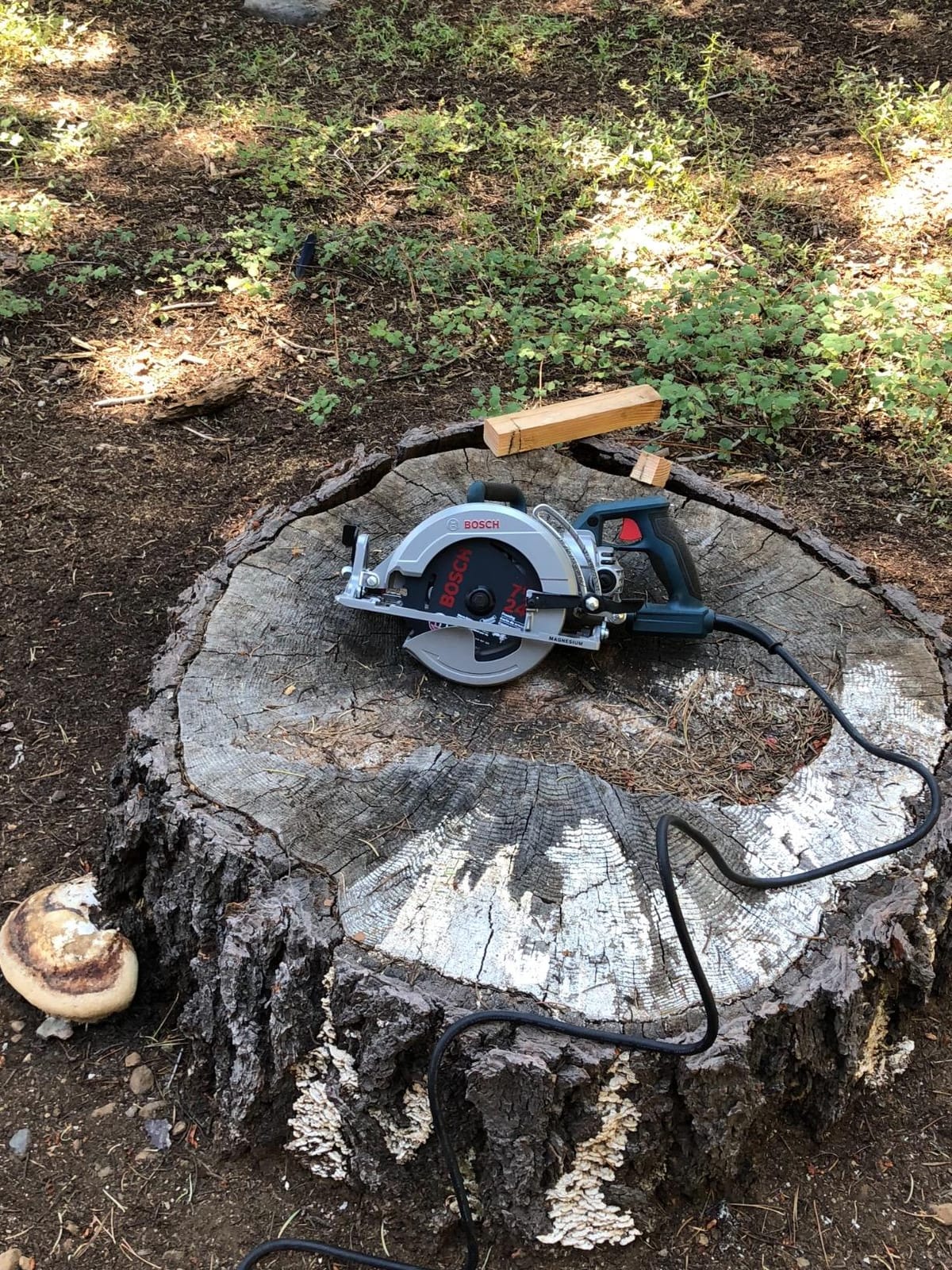 Bosch 7-1/4-Inch Worm Drive Circular Saw CSW41, Blue customer photo 1