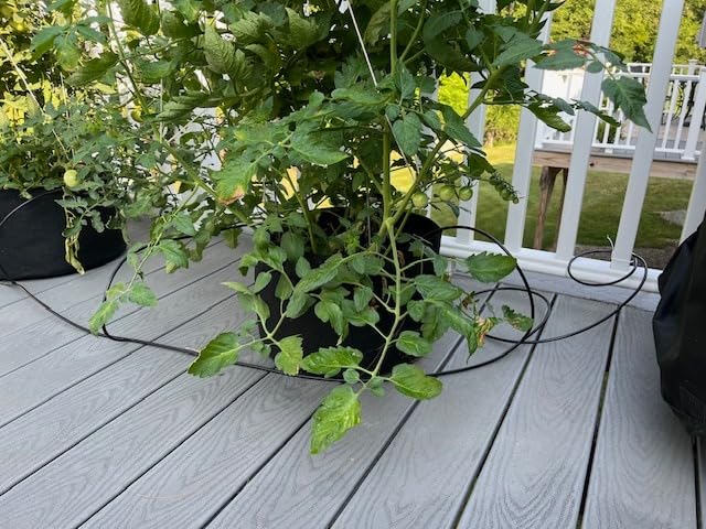Raindrip R560DP Drip Watering System, Automatic Drip Irrigation System with Timer for Containers and Hanging Baskets, Waters up to 20 Plants, Includes 20 Drippers, Black customer photo 1
