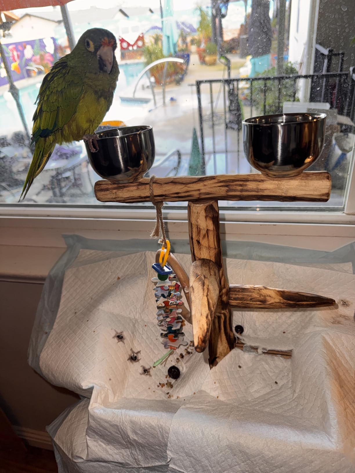 PENN-PLAX Bird-Life Natural Wood Tree Perch for Large Birds and Parrots - Includes Food and Water Bowls and Drop Tray - Large customer photo 1