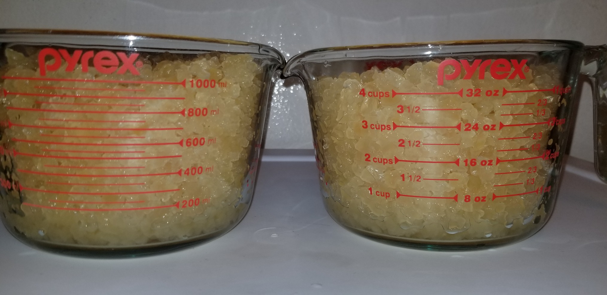 12 Brewing Bags Plus a QUARTER POUND Original Water Kefir Grains Exclusively from Florida Sun Kefir customer photo 1