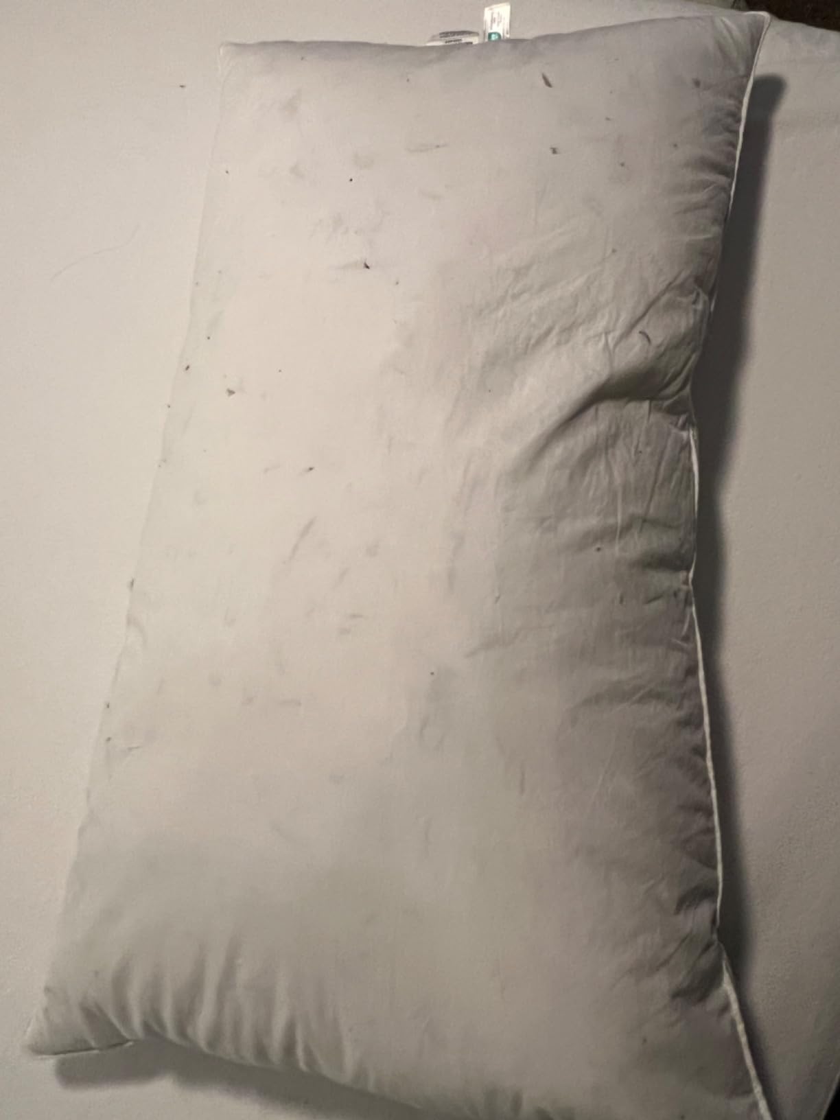 puredown Goose Feathers and Down White Pillows with 100% Cotton Cover, Bed Sleeping Hotel Collection Pillows Set of 2, Standard Size customer photo 1
