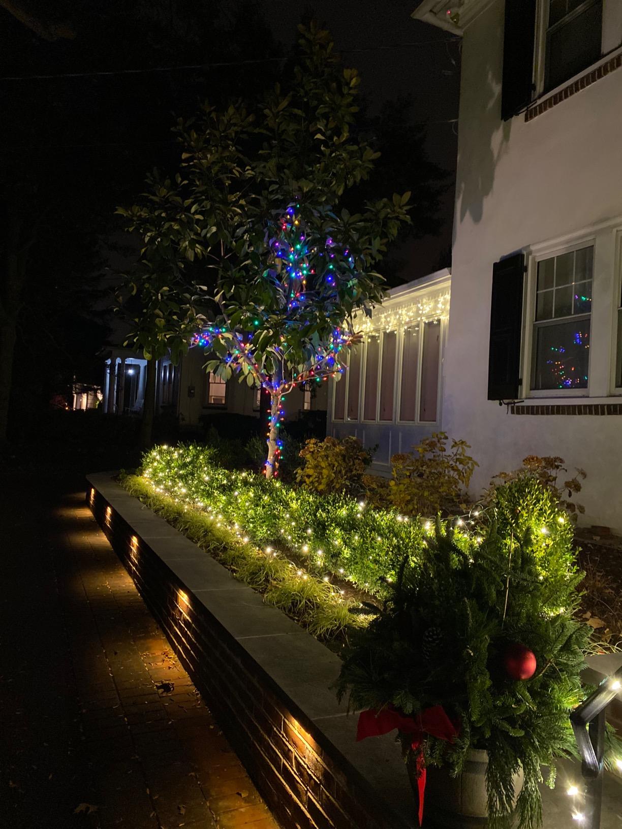 Wintergreen Lighting Set of 100 Warm White LED Net Lights - Christmas Outdoor Decorations, Green Wire (4 x 6 ft, 5mm Lights) customer photo 1