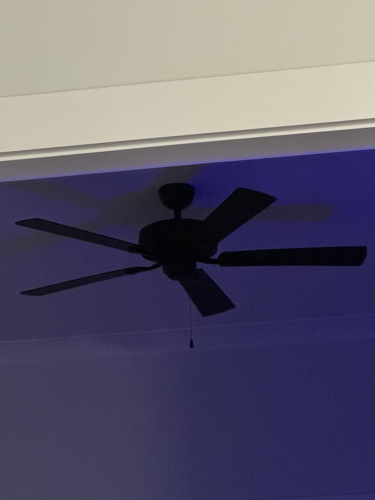 Hunter Builder Elite, Outdoor or Indoor, Ceiling Fan, 52 inch, Matte Black | No Light, Standard Mount, Pull Chain, 5 Blades, For Living Room, Patio, Porch, 53294 customer photo 1