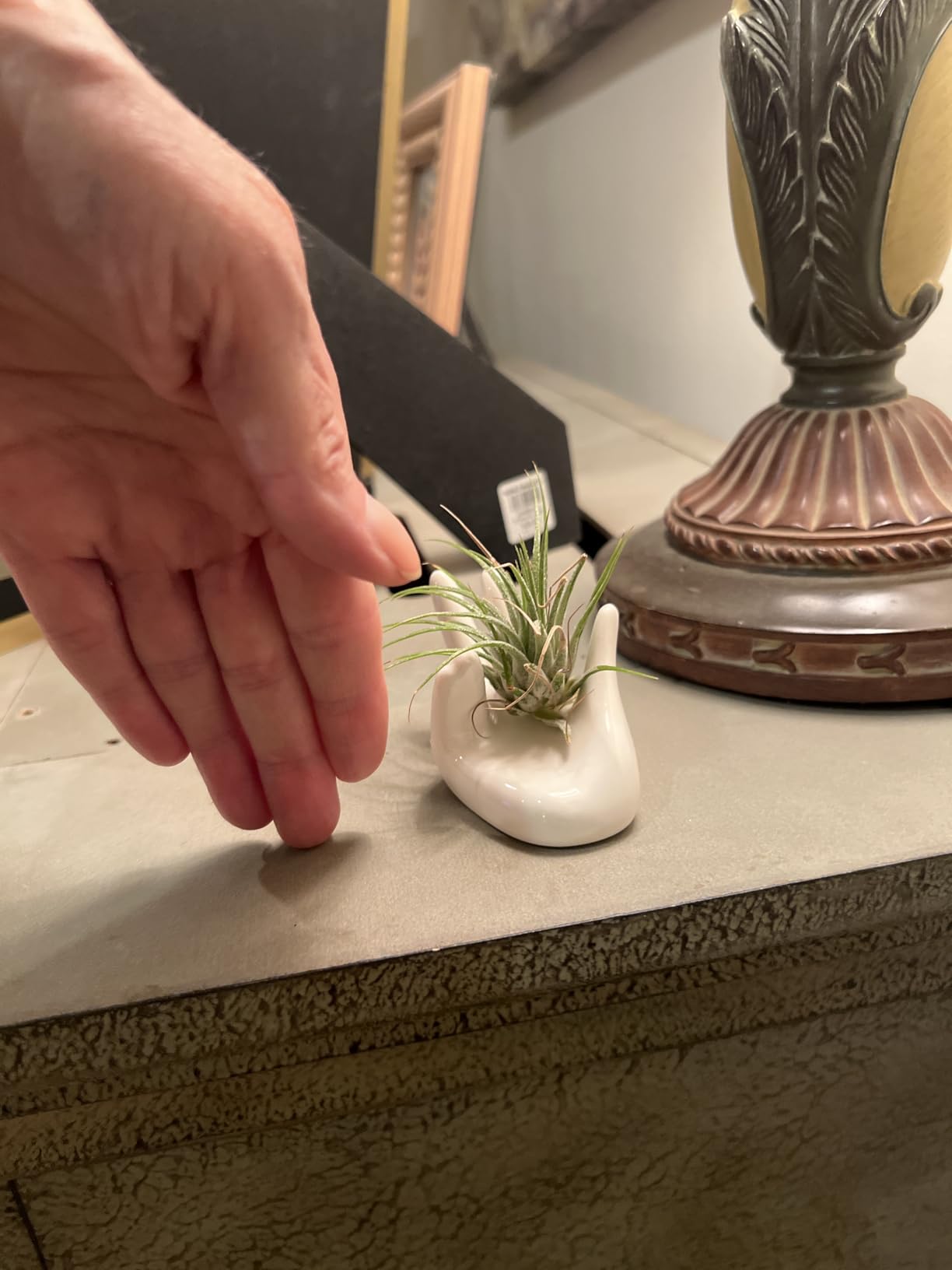 Dahey Mini Air Plant Holder Cute Ceramic Hand Shape Stand Airplants Tillandsia Small Container Pot Plant Decorative Home Decor for Desk Table Shelf, White, 1 Pack (No Plant Included) customer photo 1