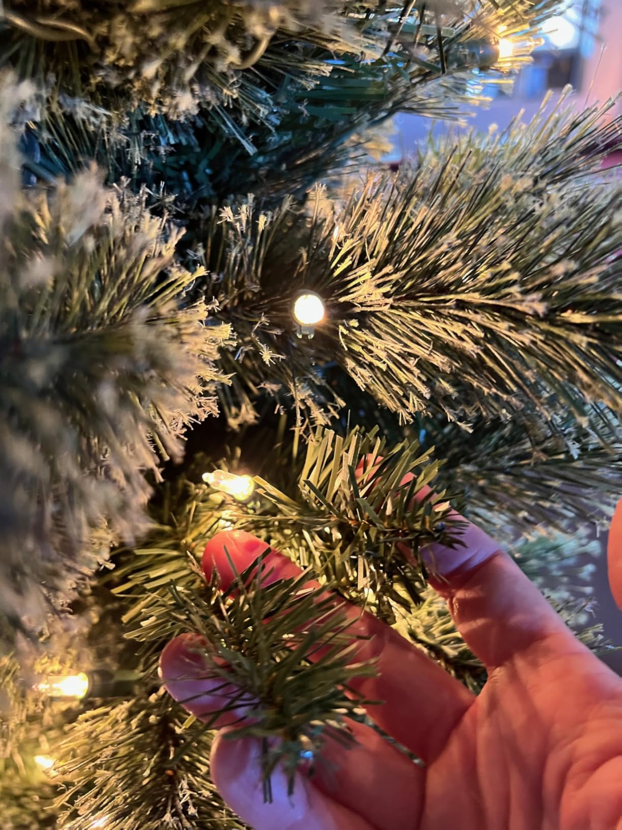 Stanley 7ft Pre-Lit Slim Pencil Christmas Tree, 350 Lights | Artificial Pine Tree with White Incandescent Lights and 335 Branch Tips - Indoor Holiday Decor customer photo 2