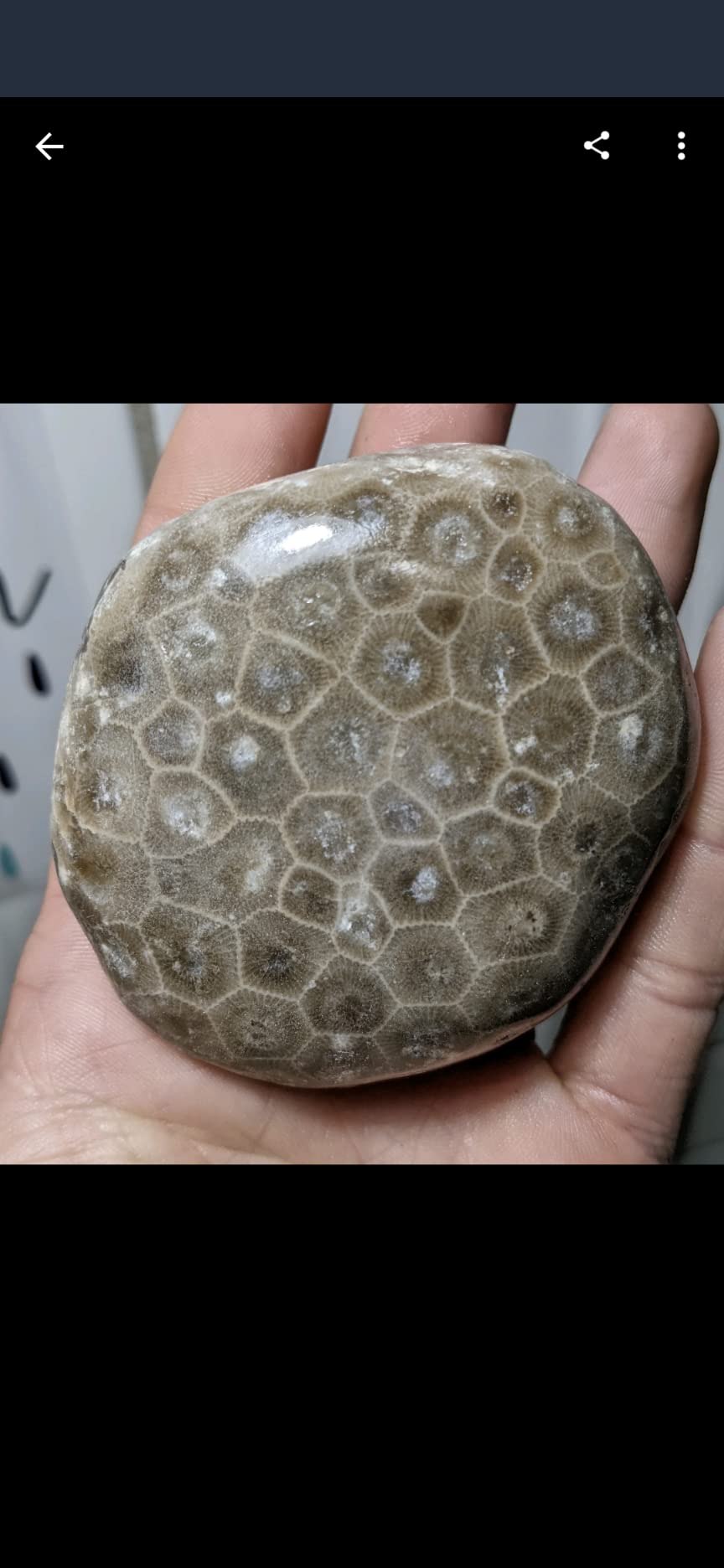 Hi-Tech Diamond 6
