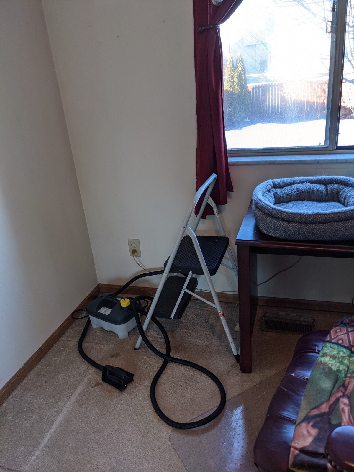 Wagner Spraytech 0282036 715 Power, Chemical Free Remover, Two Steam Plates Included, Long Run Time, Lightweight Design, Wallpaper Steamer customer photo 1