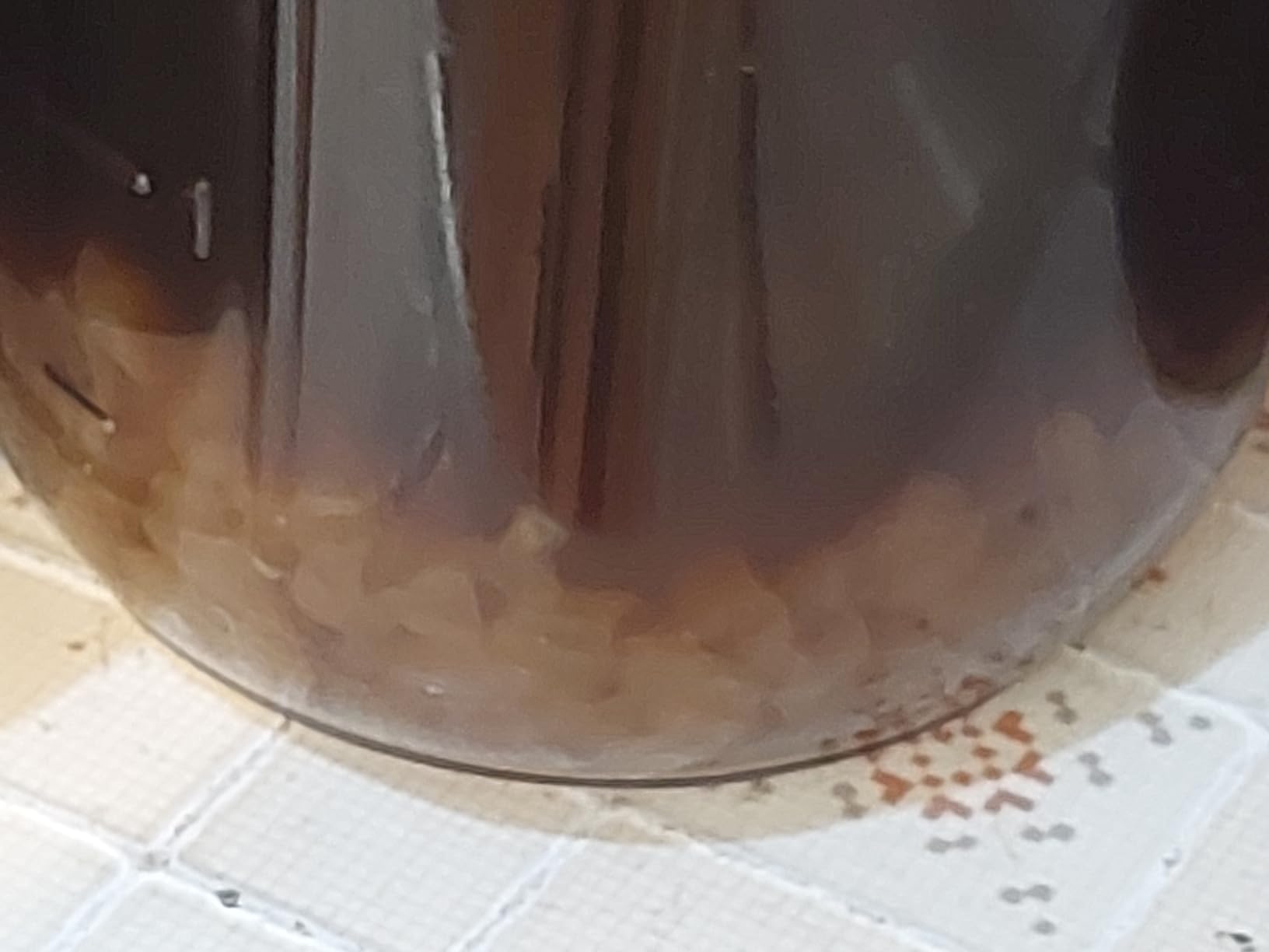 Yemoos Dried Authentic Water Kefir Grains customer photo 1