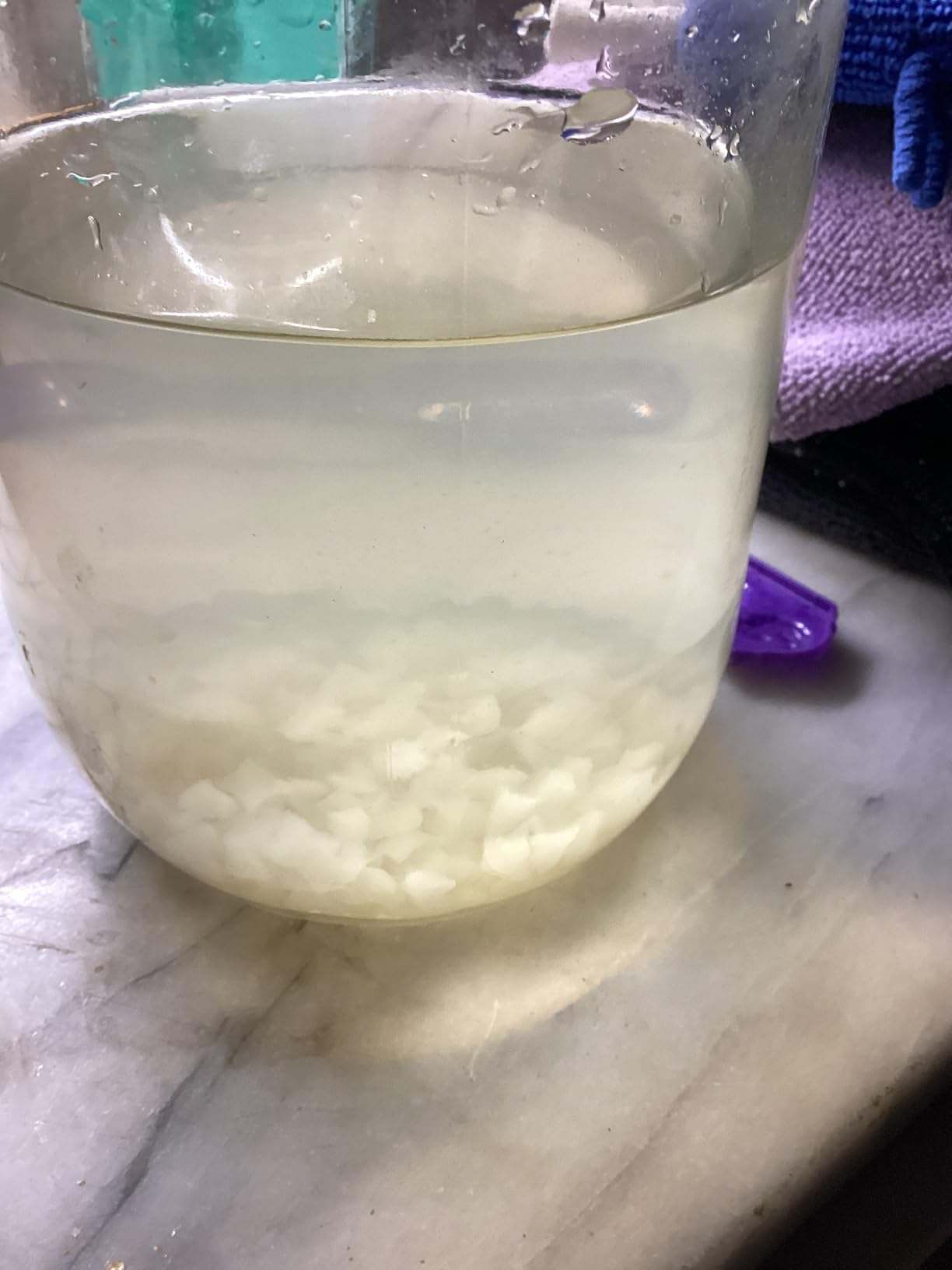 Yemoos Dried Authentic Water Kefir Grains customer photo 2
