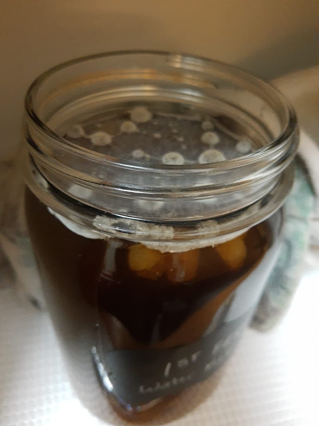 One SEALED Glass Jar HALF Cup Original Florida Sun Kefir Live Water Kefir Grains customer photo 1