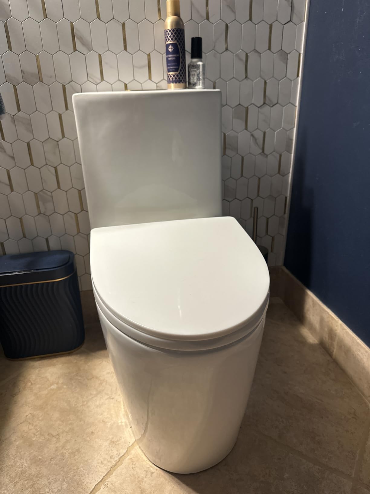 St. Tropez Comfort Height One-Piece Elongated Toilet, Vortex Dual-Flush 1.1/1.6 GPF, White Hardware customer photo 2
