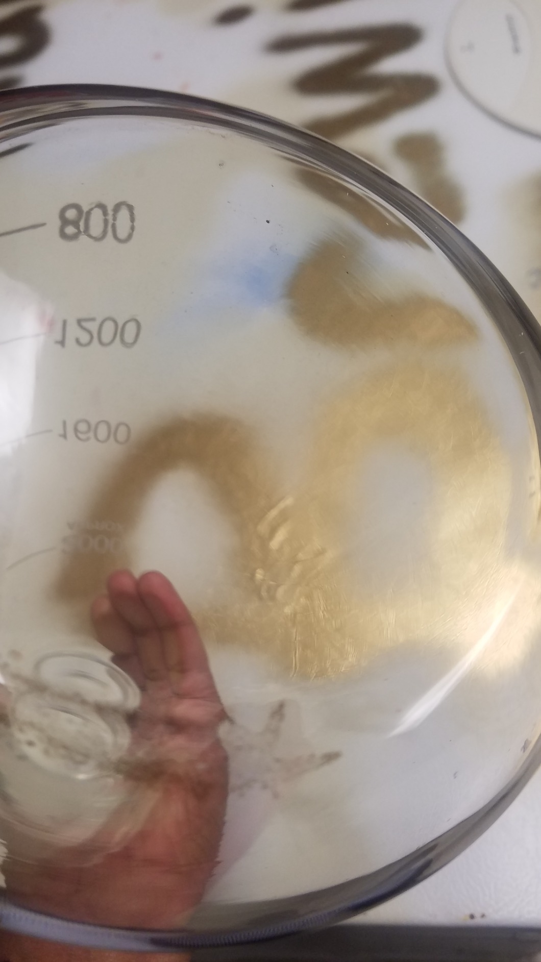 Homebrewers Outpost - Y320 Yeast Starter Kit (2000ml) customer photo 1