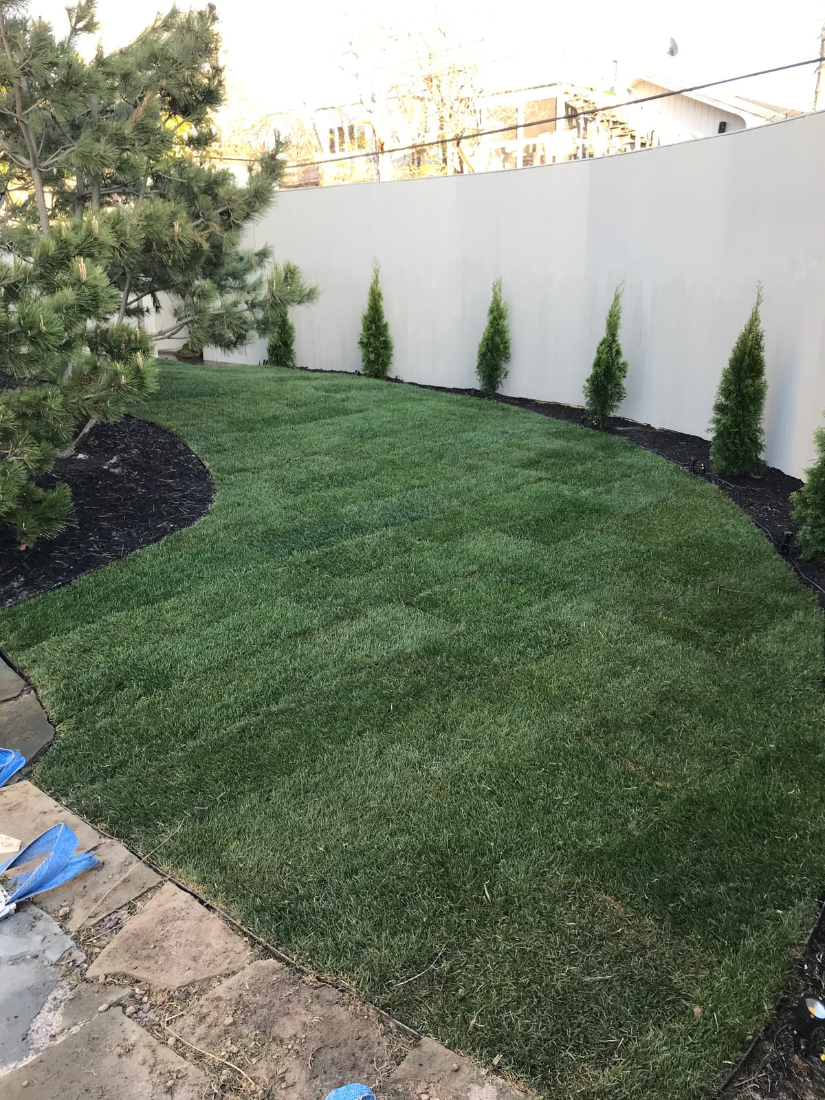 Keyfit Tools SOD Knife Professional Contractor Grade 304 Stainless Steel Blade Sod Cutter Trim New Sod Edging Beds Overgrown Valve Box Sprinkler Heads Like Hunter PGP Raise Repair Remove Sprinklers customer photo 1
