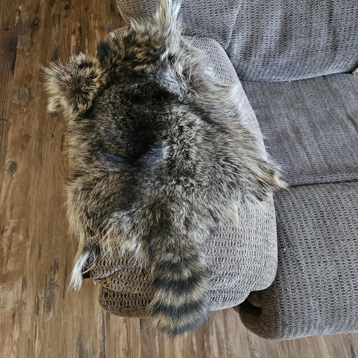 Knoblochs Deer Hunter's & Trapper's Hide & Fur Tanning Formula and Fleshing Tool Set (1) customer photo 1