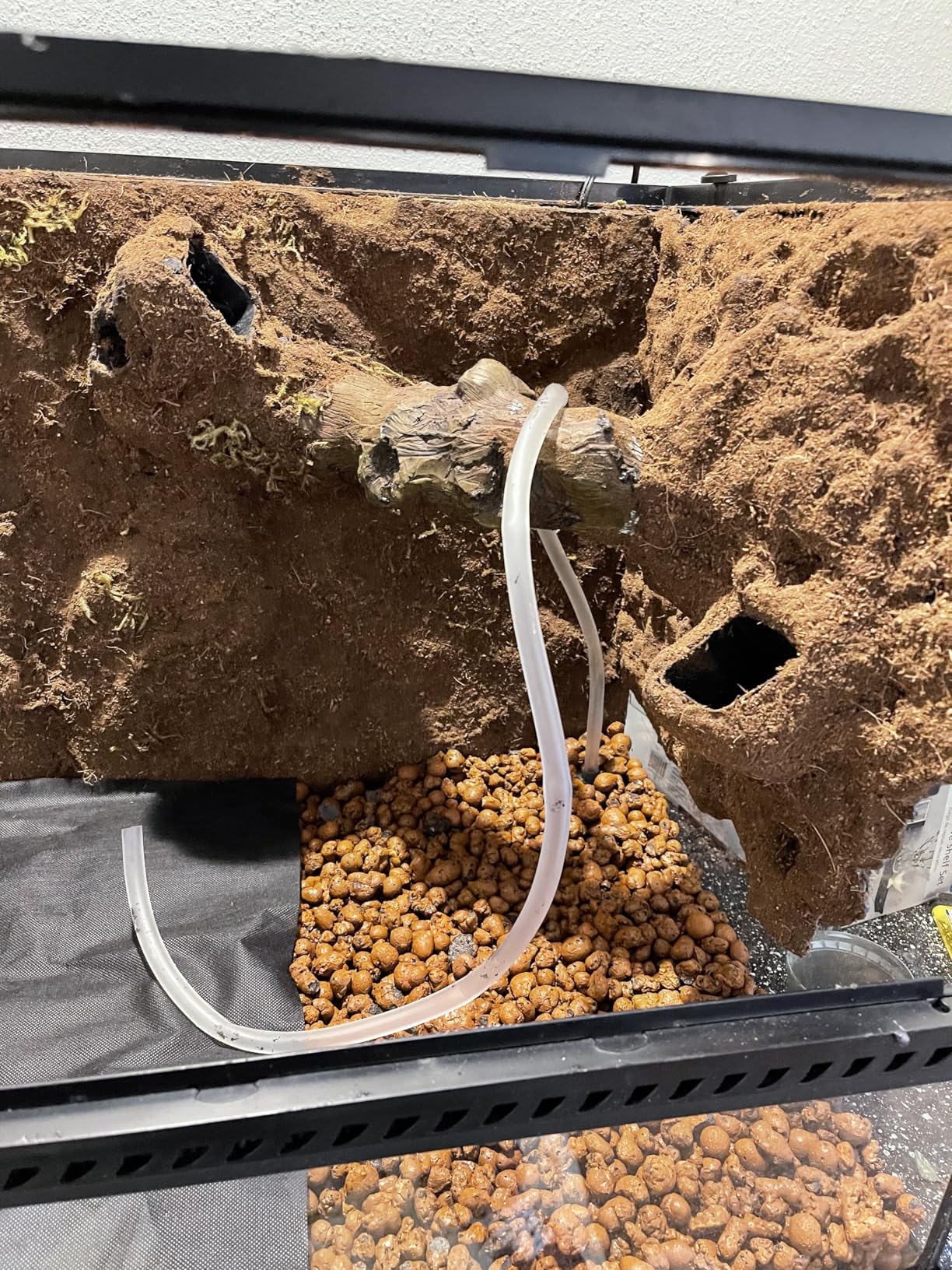 Josh's Frogs BioBedding Tropical Bioactive Substrate (10 quarts) customer photo 2