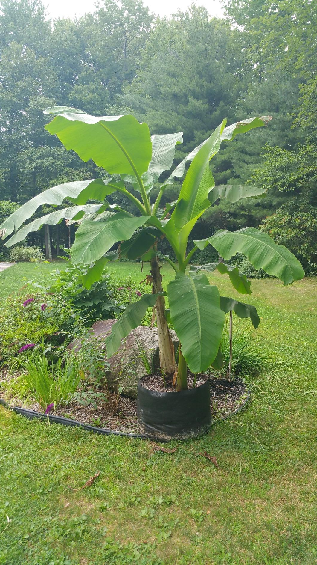 15 Inch Garden and Compost Moisture Meter, Garden Tool Ideal for Soil, Plant, Farm and Lawn Moisture Testing customer photo 2