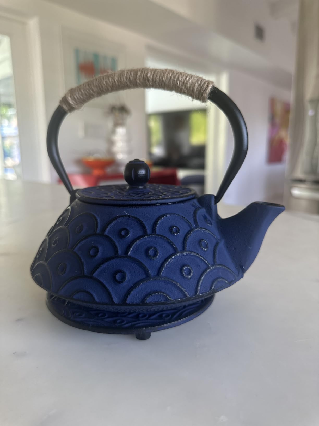Japanese Style Cast Iron Teapot Set Tetsubin Kettle with Infuser | Iron Tea Pot with 4 Teacup Trivet for Stove Top, Handmade Gift for Friend (28 Ounce, Black, Enameled Interior) customer photo 2