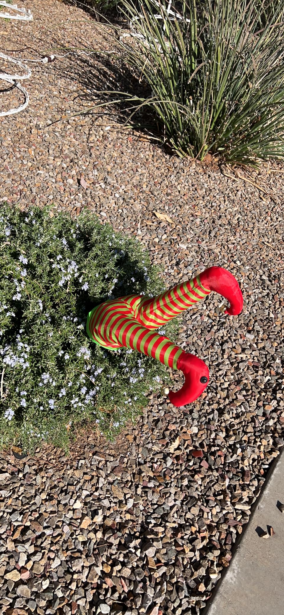 Indoor Animated Kickers Santa Christmas Décor, 16-inch, Red customer photo 1