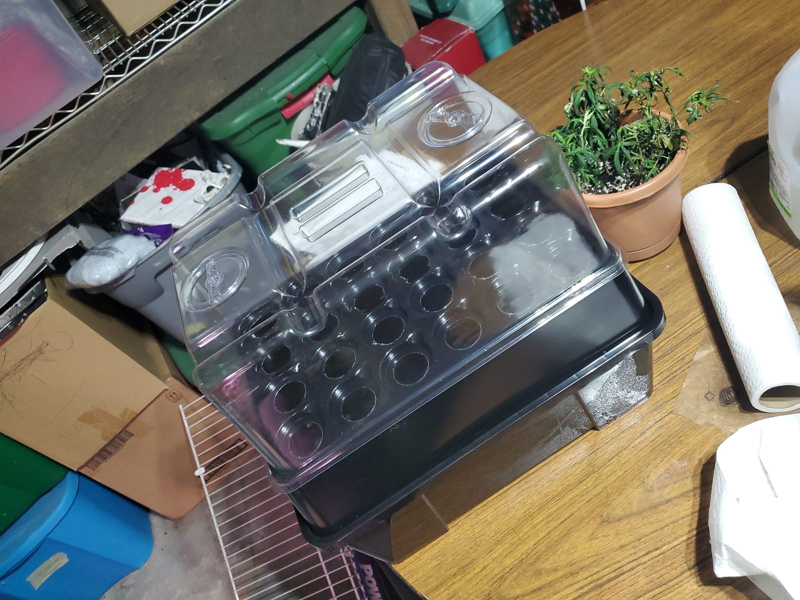 Aeroponic Cloner Machine 24 Site for Cuttings Rooting Using 2 inch Neoprene Inserts or 2 inch Clone Collars customer photo 2