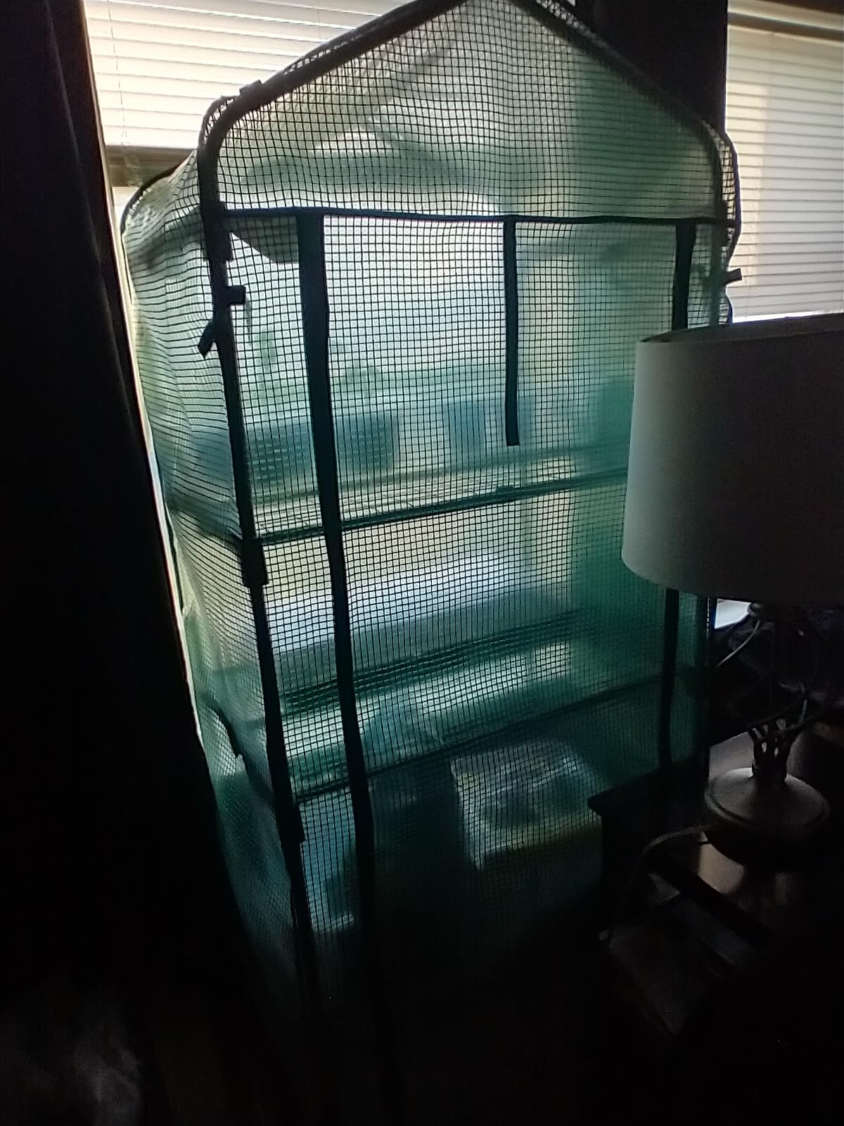 Ohuhu Mini Greenhouse for Indoor Outdoor, 4-Tier Rack Stand Portable Greenhouse with PE Cover for Seedling customer photo 1