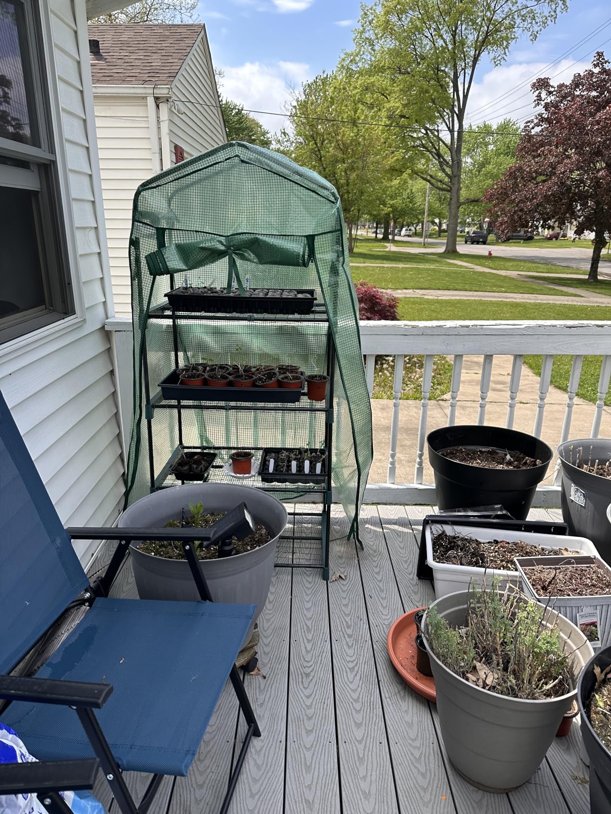 Ohuhu Mini Greenhouse for Indoor Outdoor, 4-Tier Rack Stand Portable Greenhouse with PE Cover for Seedling customer photo 2