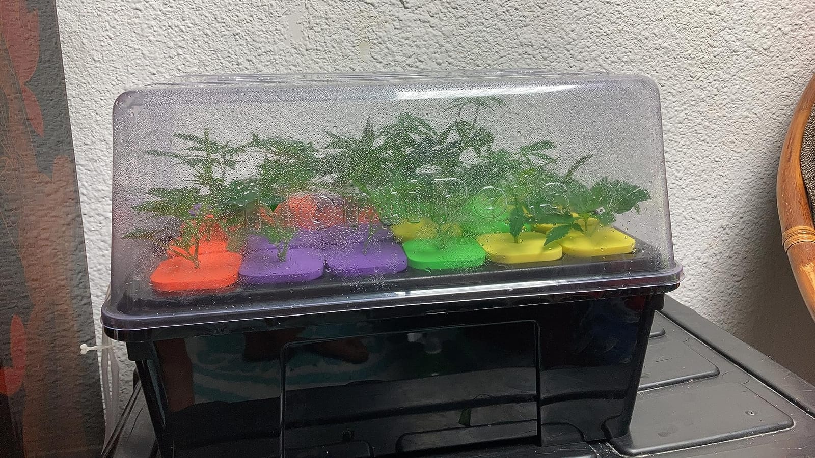 DWC Cloner Rooting Recirculating System 24 Site Cutting Clone and Seeding Root 2 in 1 Deep Water Cloner 24 Site with Clear Humidity Propagation Dome (Black) customer photo 2